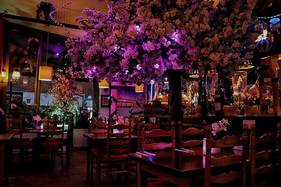 Ristorante Italiano Pizzeria Romagna - photo 6
