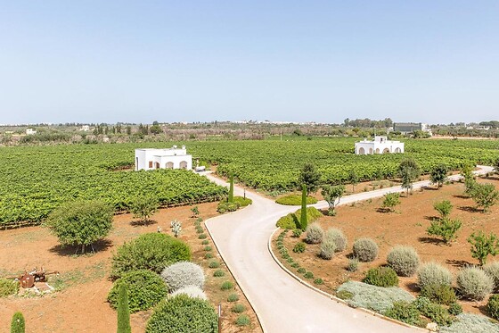 Tenuta Yala - photo 7