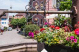 Goethe Schwarzwald Boutiquehotel