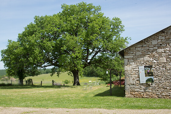 Domaine de Bel-Air - photo 18
