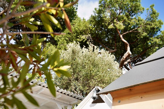 Residence Felice - photo 3