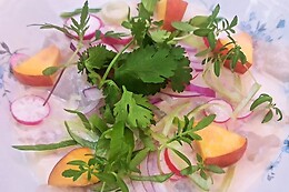 Saucé Restaurant