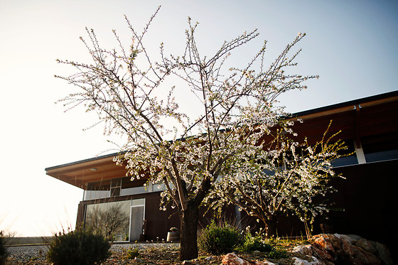 BODEGA LA VINYETA - photo 3