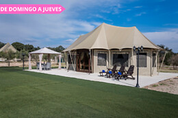 EL TORIL
