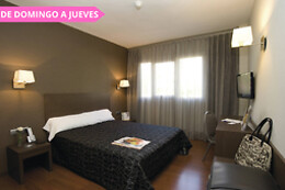 HOTEL CISNEROS