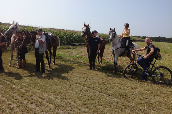 Ecuries Du Grand Chemin - photo 6