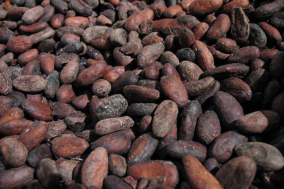 Délices & Chocolats - photo 8