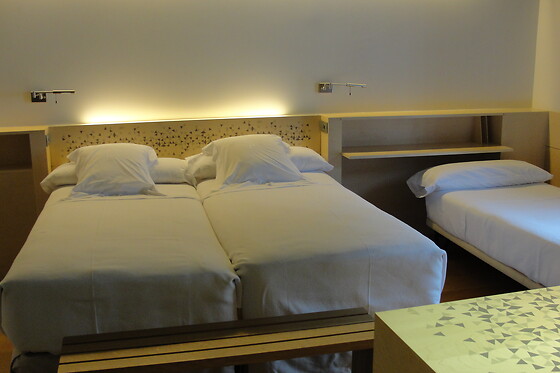 HOTEL RESORT BALNEARIO DE PANTICOSA - photo 13
