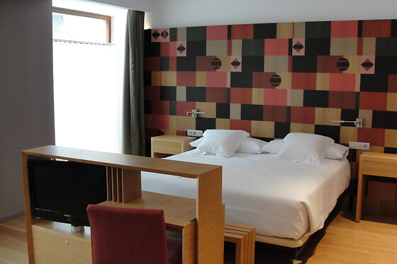 HOTEL RESORT BALNEARIO DE PANTICOSA - photo 16