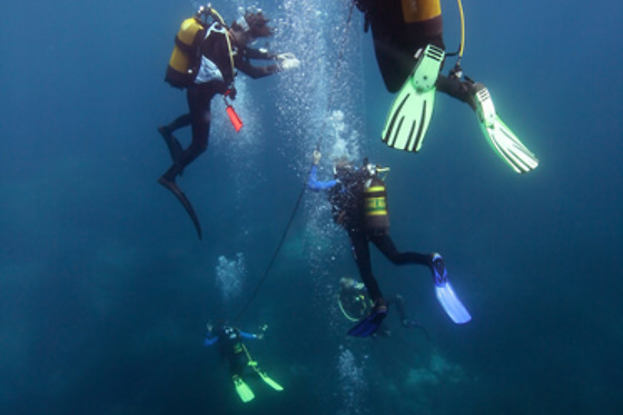 TOSSASUB DIVING CENTER - photo 6