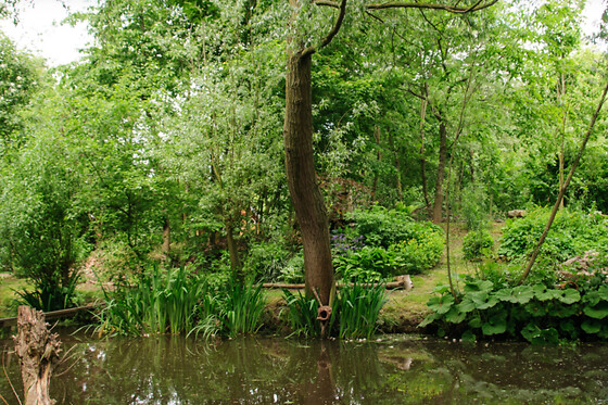 Kampeerbosje Leerdam - photo 2
