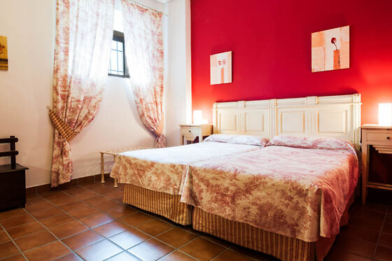 HOTEL PALACIO LAS MANILLAS - photo 5