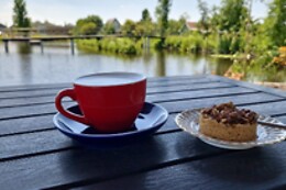 Tussen de Berken