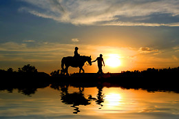 Du cheval à l'homme