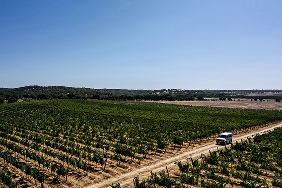 Herdade de Coelheiros - photo 1