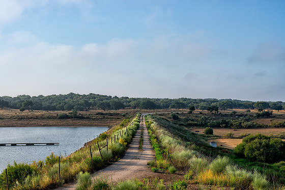 Herdade de Coelheiros - photo 10