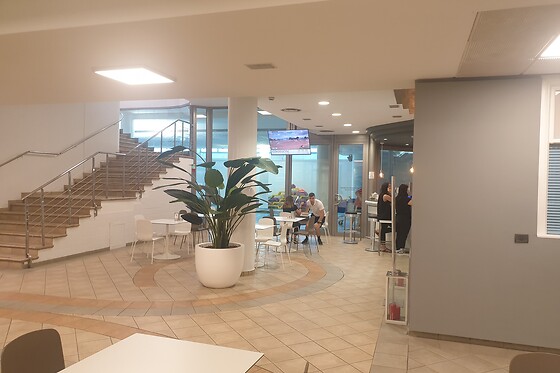Gymnasium Padova Forum - photo 1