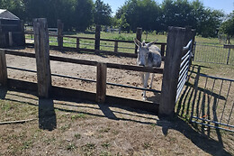 Beleefboerderij en camping de Stelle