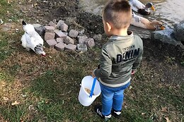 Beleefboerderij en camping de Stelle