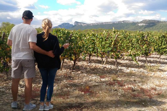 Vigno'Vins - photo 3