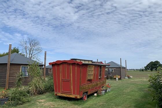 Boerderij de Peelakker - photo 4