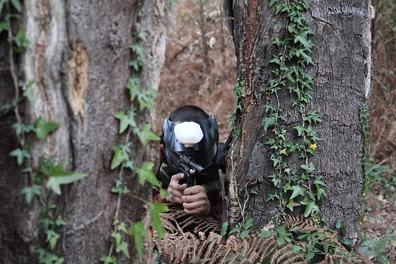 Wild Life - photo 3
