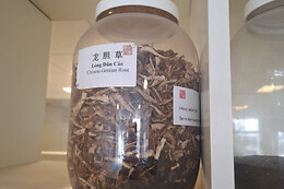 Yu Yi Tang