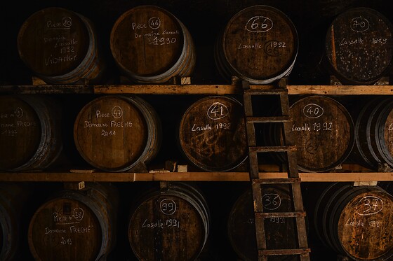 L'Encantada - photo 8