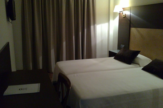 HOTEL MADRID TORREJON PLAZA - photo 3