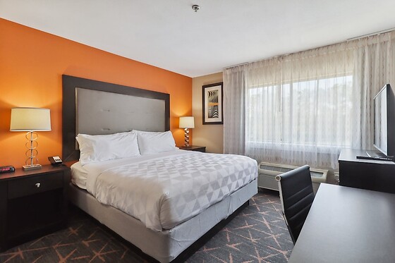 Online Booking EPS - photo 2