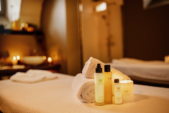 Best Western Premier Hôtel de la Cité Royale - photo 30