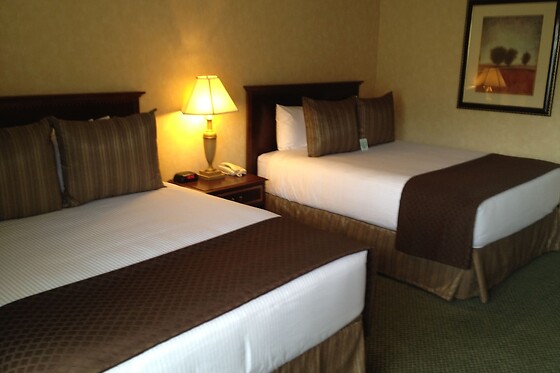 Online Booking EPS - photo 1