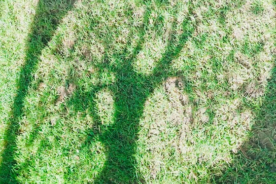 Jardin d'Auré - photo 2