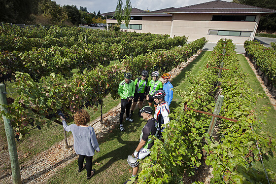BODEGAS PAGO DE LARRAINZAR - photo 10