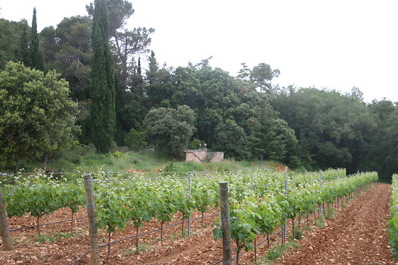 BODEGAS PAGO DE LARRAINZAR - photo 13