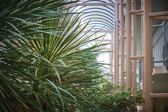 Les Jardins de l'Anjou - photo 5