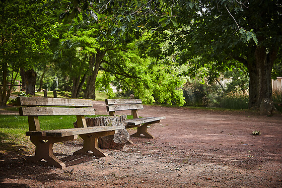 Les Jardins de l'Anjou - photo 18