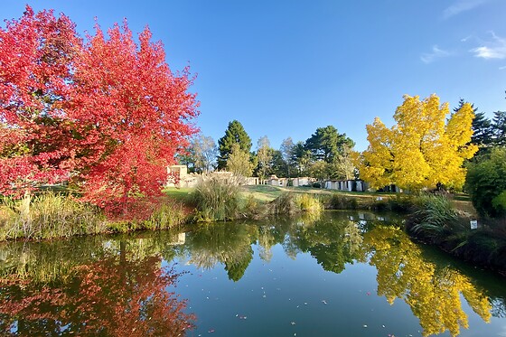 Les Jardins de l'Anjou - photo 15